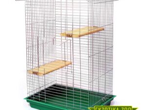 ШИНШИЛЛА ЛЮКС