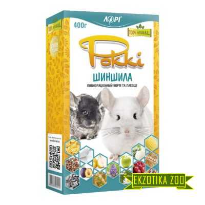 Рокки - шиншилла